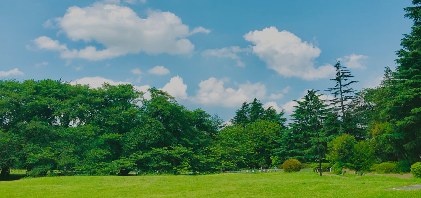 佐賀県武雄市 粉骨代行 三界不動彫刻